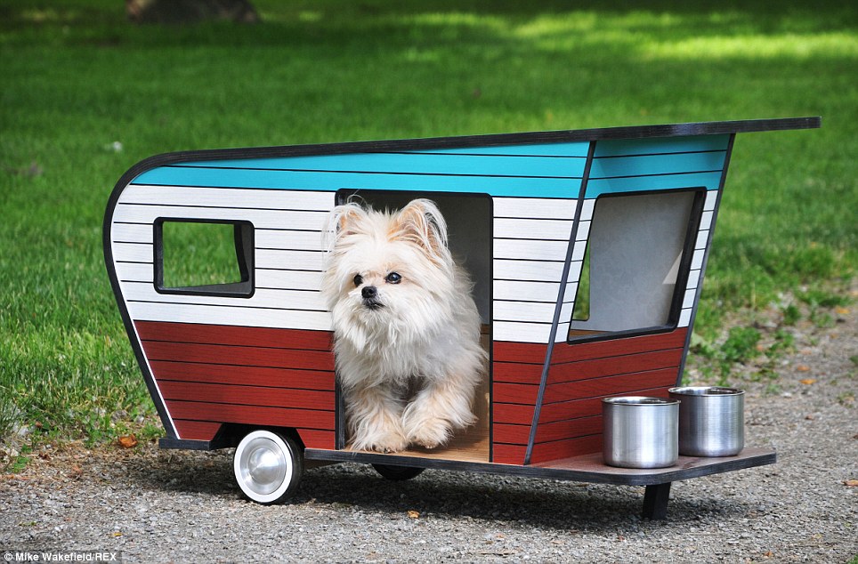 7 tips for RVing and traveling with pets